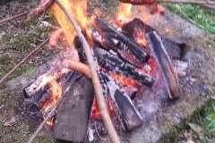 Odjazdowy bibliotekarz