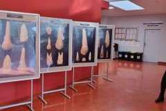 Zdążyć przed próchnicą