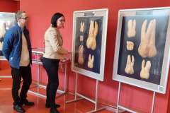 Zdążyć przed próchnicą