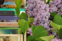 Tydzień Bibliotek 2018